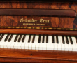 Trau Piano Detail