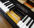 Feurich Sensorleiste