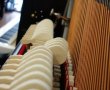 Feurich Stoppleiste in  Aktion